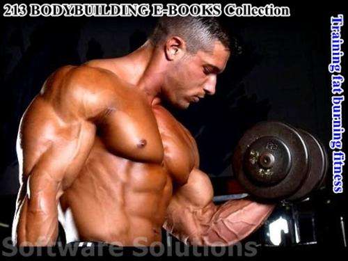 213 BODYBUILDING TRAINING FAT BURNING FITNESS EBOOKS / E-BOOKS ON DVD BRILLIANT ITEM