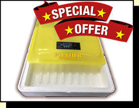 88 Egg Foam Incubator