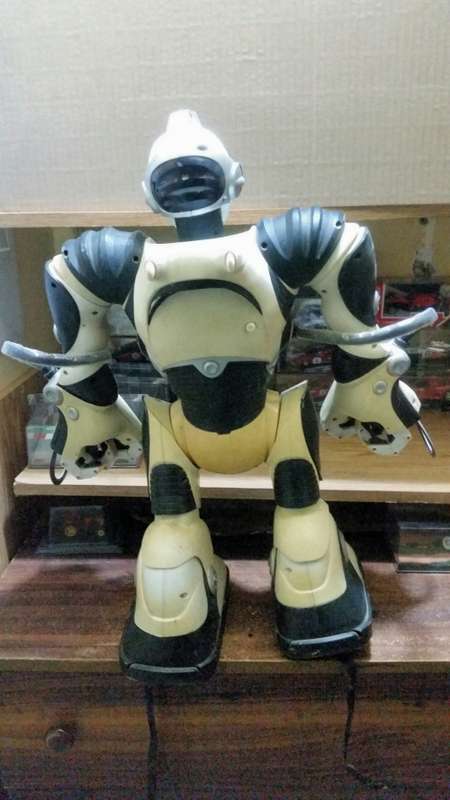Remote Controlled Robot Toy