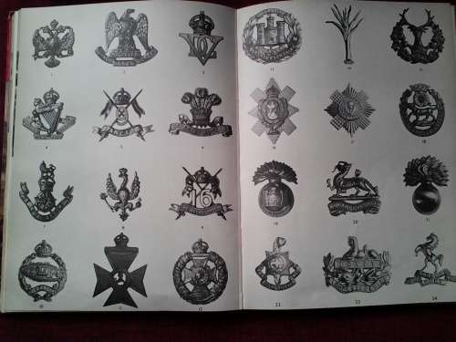 The wonder book of The Army. 1st 1954 .Hard cover.