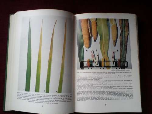 Hunger Signs in Crops. Symposium 3rd Ed 1964
