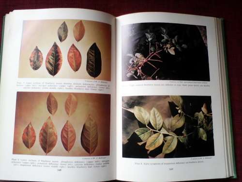 Hunger Signs in Crops. Symposium 3rd Ed 1964