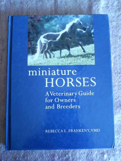 Miniature Horses