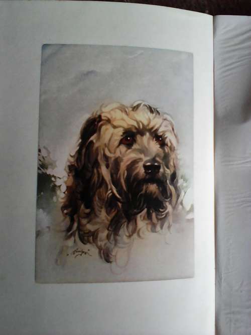 Five dogs and Two More by Sir Timothy Eden. 1928 H/C