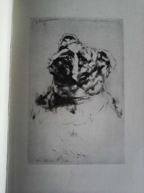 Five dogs and Two More by Sir Timothy Eden. 1928 H/C
