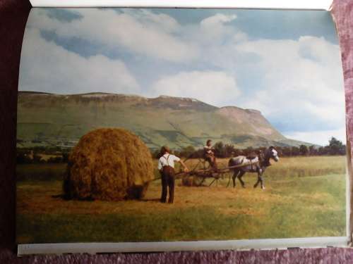 Ireland in Colour. Ill by W.R. Rogers. 1st 1957