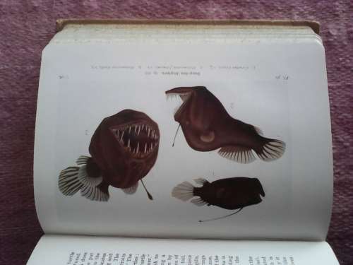 The Seas by F.S. Russell. H/C  reprint 1947. NB see photos and discription