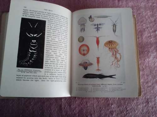 The Seas by F.S. Russell. H/C  reprint 1947. NB see photos and discription