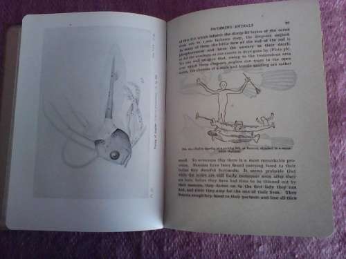 The Seas by F.S. Russell. H/C  reprint 1947. NB see photos and discription