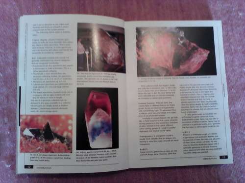Rocks and Minerals of South Africa by Bruce Cairncross. 1st 2004