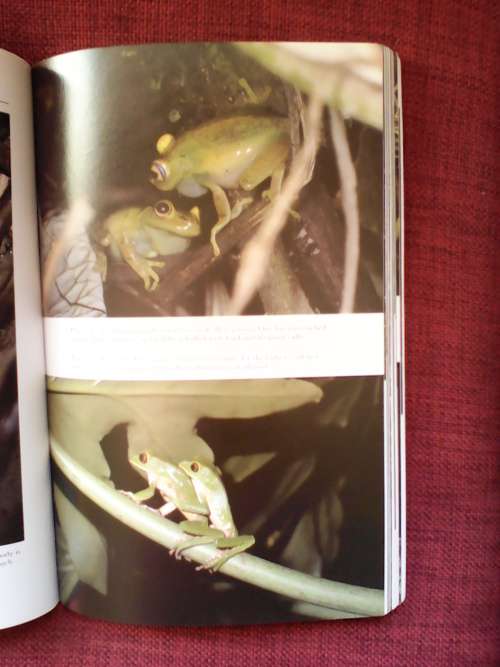 Frogs and Toads of the world by Cris Mattison. S/C 1998