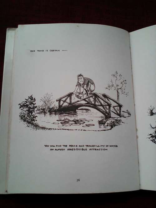 Up the garden path by Norman Thelwell. H/C  1st 1967