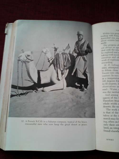 World without Mercy by Rene Lecler. H/C 1st 1954