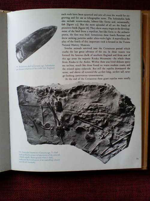 Rock and Minerals By E.P. Bottley. H/C 1st 1972