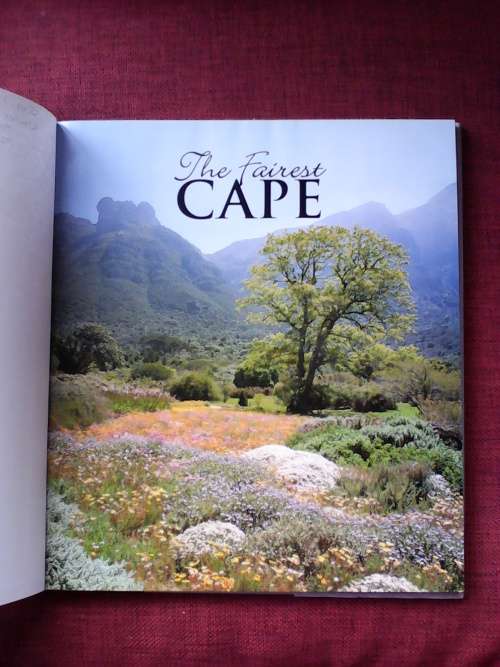 The Fairest Cape by Mark Skinner. H/C 1st 2001
