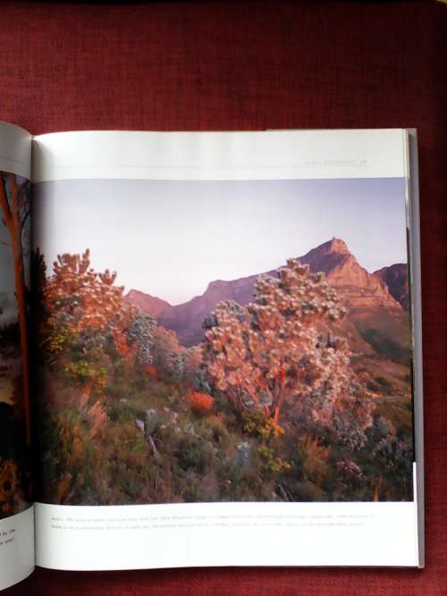 The Fairest Cape by Mark Skinner. H/C 1st 2001