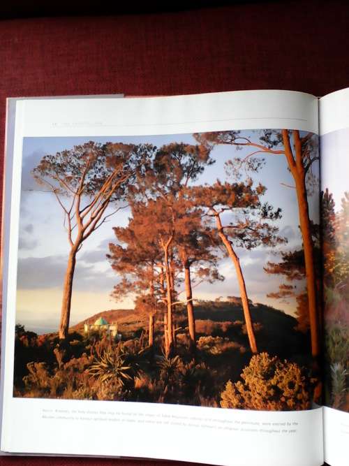 The Fairest Cape by Mark Skinner. H/C 1st 2001