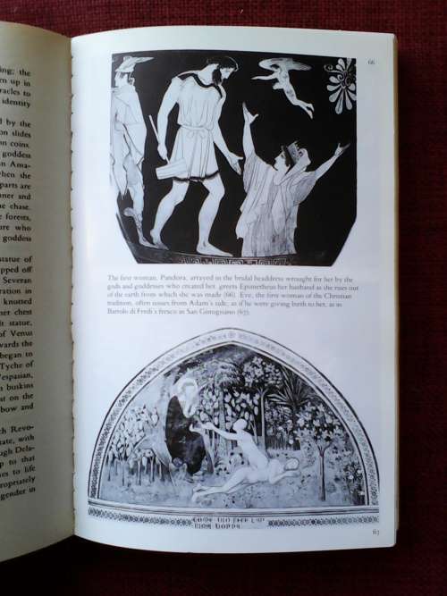 Monuments and Maidens by Marina Warner 1985