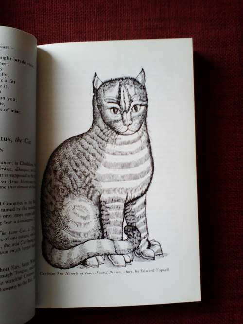 The Book of Cats edited by George MacBeth and Martin Booth. S/C. 349 pp.postage R50