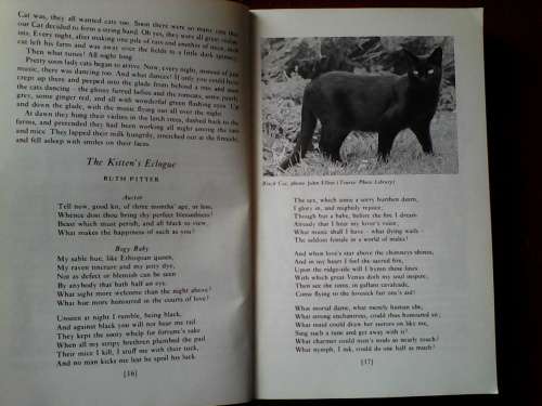 The Book of Cats edited by George MacBeth and Martin Booth. S/C. 349 pp.postage R50