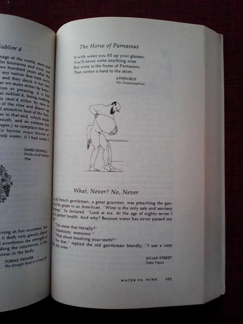 The Fireside Book of Wine, selected and edited by Alexis Bespaloff. S/C. 445 pp.
