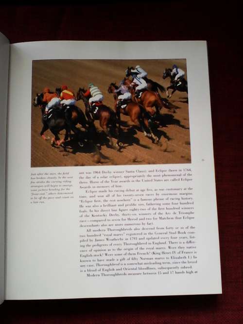 The Horse in Sport by WC Steinkraus and MA Stoneridge. Large format H/C. 272 pp.