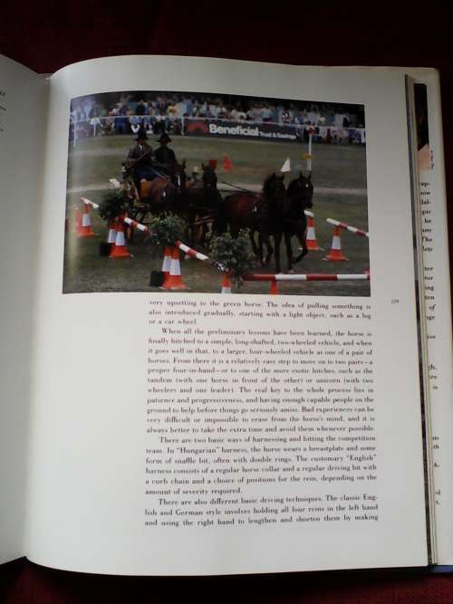 The Horse in Sport by WC Steinkraus and MA Stoneridge. Large format H/C. 272 pp.