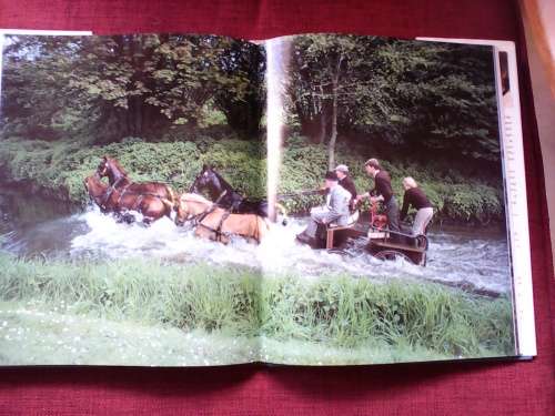 The Horse in Sport by WC Steinkraus and MA Stoneridge. Large format H/C. 272 pp.