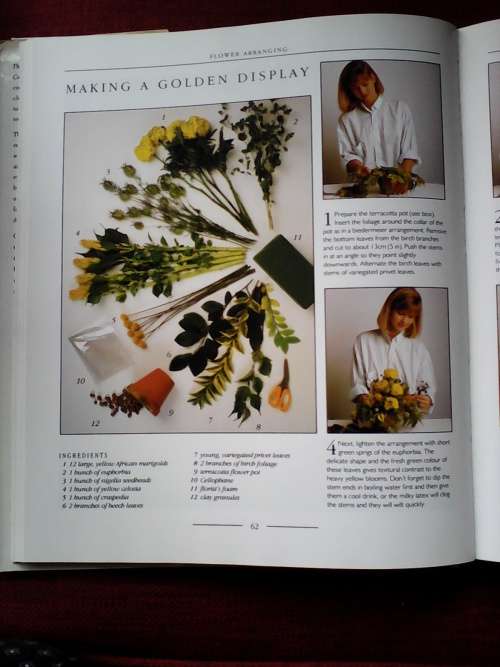 The Hamlyn Step-By-Step Flower Arrangement Course. H/C. Large format. 192 pp.