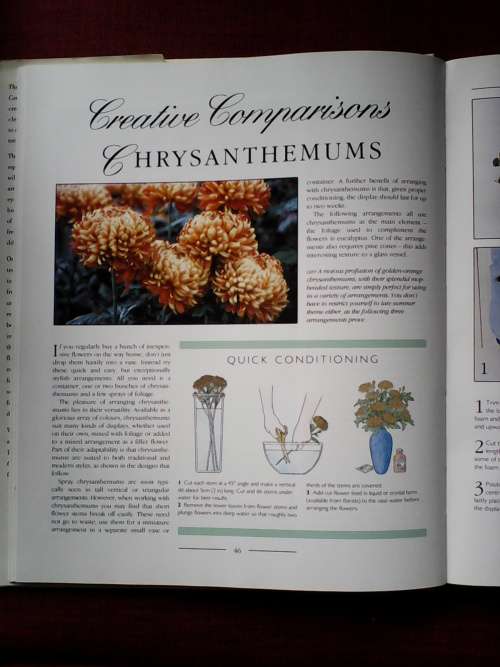 The Hamlyn Step-By-Step Flower Arrangement Course. H/C. Large format. 192 pp.