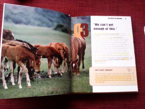 Horse and Pony Body Language Phrasebook by Susan McBane. H/C. 207 pp.