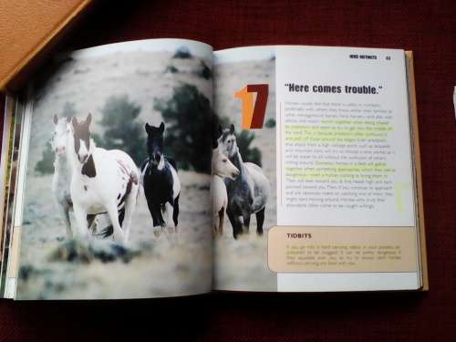 Horse and Pony Body Language Phrasebook by Susan McBane. H/C. 207 pp.