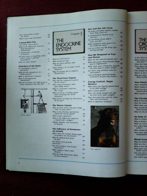 The Reader`s Digest Body Book. H/C. Large format. 336 pp.
