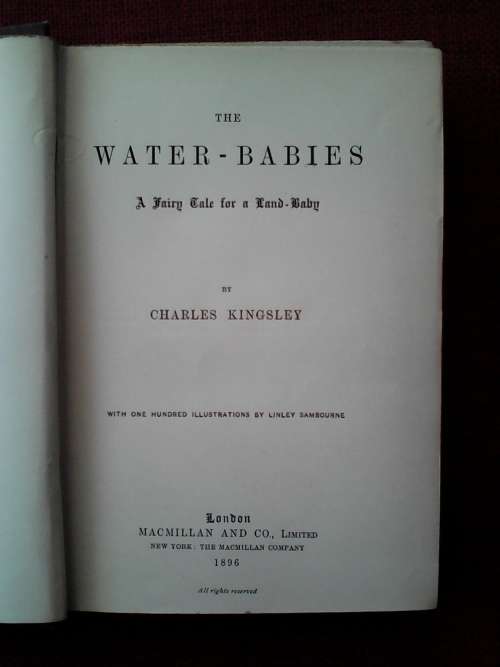 The Water-Babies by Charles Kingsley. 1896. With 100 original illustrations. H/C. 330 pp.