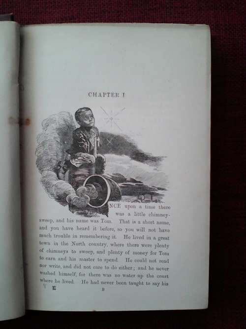 The Water-Babies by Charles Kingsley. 1896. With 100 original illustrations. H/C. 330 pp.