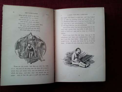 The Water-Babies by Charles Kingsley. 1896. With 100 original illustrations. H/C. 330 pp.