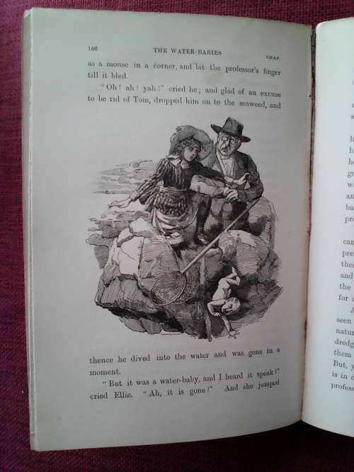The Water-Babies by Charles Kingsley. 1896. With 100 original illustrations. H/C. 330 pp.