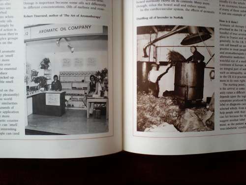 Alternative Medicine by Dr Andrew Stanway. 1979. H/C. Large format. 160 pp.