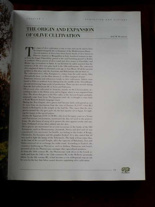 World Olive Encyclopaedia. 1996. H/C with jacket. Large luxury format. 479 pp. Weight: 2,7 kg