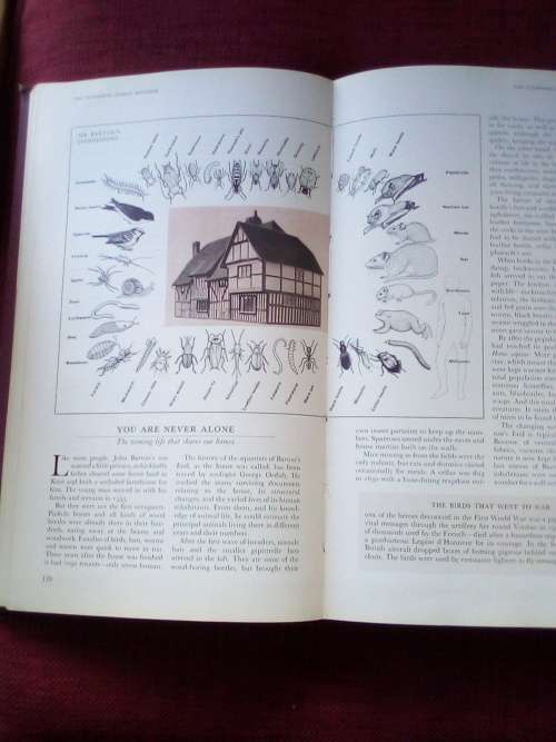 Strange Stories, Amazing Facts. 1975. H/C. 608 pp.
