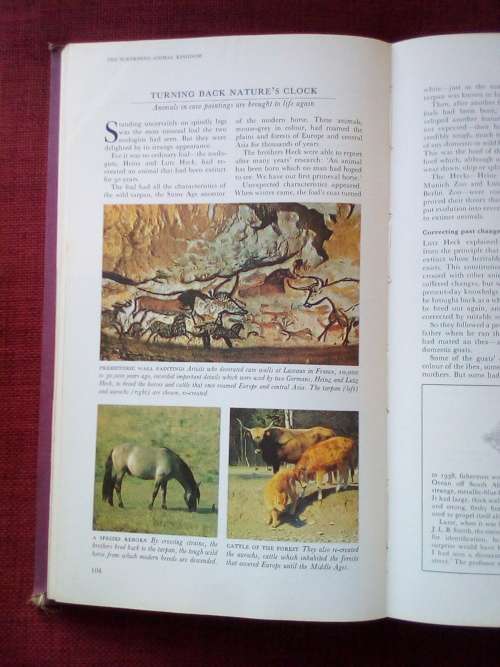 Strange Stories, Amazing Facts. 1975. H/C. 608 pp.