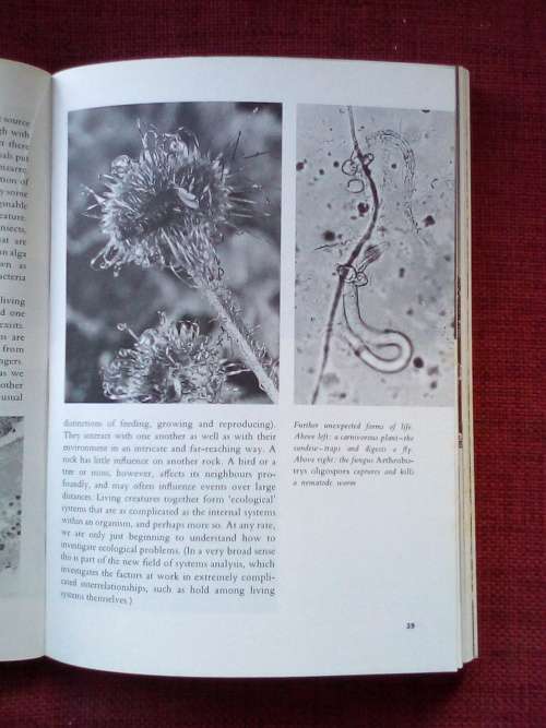 Planets and Life by PHA Sneath. 1st 1970. S/C. 216 pp.
