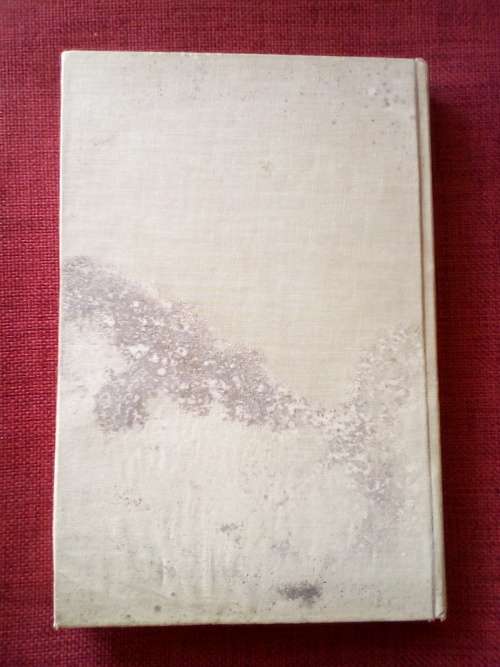 The Great Rebel: Che Guevara in Bolivia by González and Salazar. 1st 1969. 254 pp.