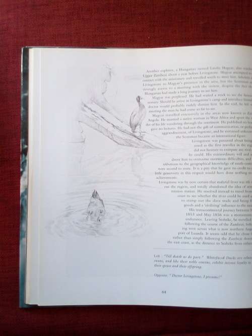 African Thunder: The Victoria Falls by Jan and Fiona Teede. Reprint 1994. Large format. 143 pp.