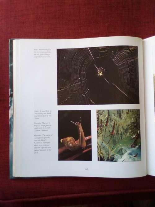 African Thunder: The Victoria Falls by Jan and Fiona Teede. Reprint 1994. Large format. 143 pp.