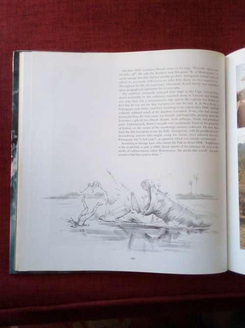 African Thunder: The Victoria Falls by Jan and Fiona Teede. Reprint 1994. Large format. 143 pp.