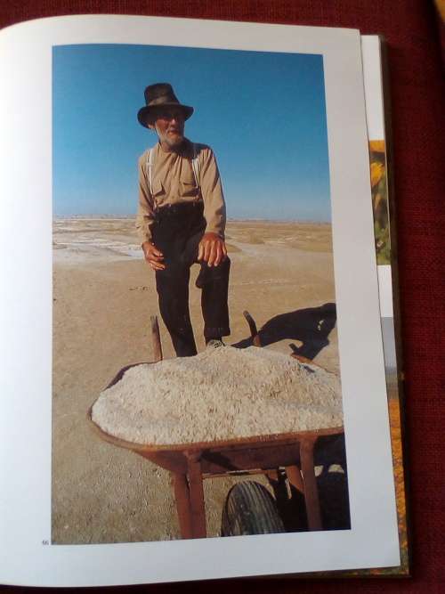 Namaqualand: Thirstland in Bloom by Chris Jansen. 1st 1981. H/C with jacket. Large format.