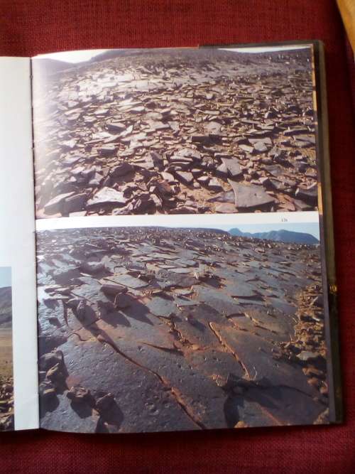 Namaqualand: Thirstland in Bloom by Chris Jansen. 1st 1981. H/C with jacket. Large format.