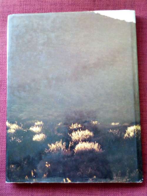 Namaqualand: Thirstland in Bloom by Chris Jansen. 1st 1981. H/C with jacket. Large format.