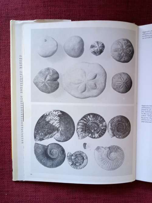 Pebble Polishing and Pebble Jewellery by Cedric Rogers. 1st 1973. H/C with jacket. 80 pp.